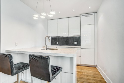 Kitchen - 2404-1188 Av. Union, Montréal (Ville-Marie), QC - Indoor Photo Showing Kitchen With Upgraded Kitchen