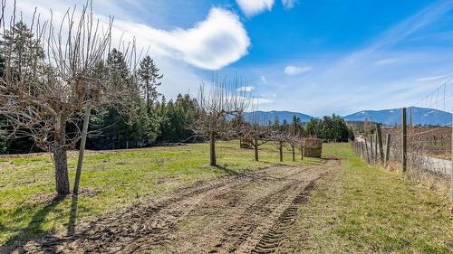 3955 46Th Street, Creston, BC - Outdoor With View