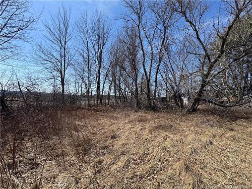 9321 Route 3, Old Ridge, NB 