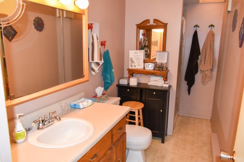 Salle de bains - 478 Rue Sylvio, Drummondville, QC - Indoor Photo Showing Bathroom