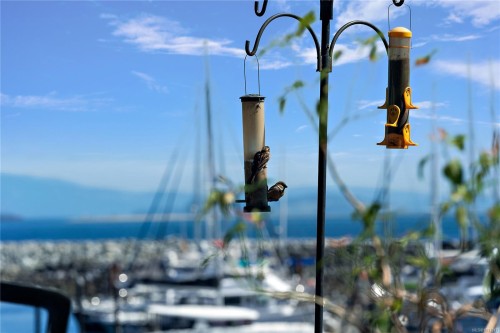 10007 Third St, Sidney, BC 