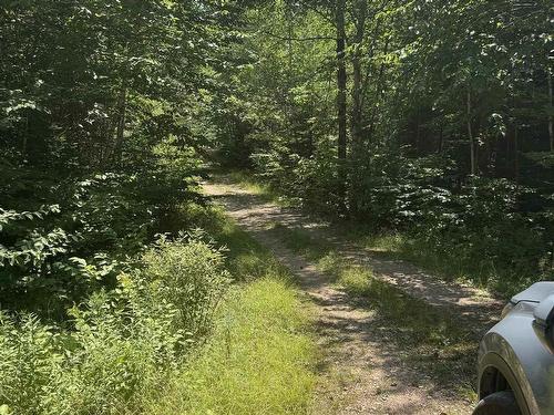 78 Maple Ridge Drive, Franey Corner, NS 