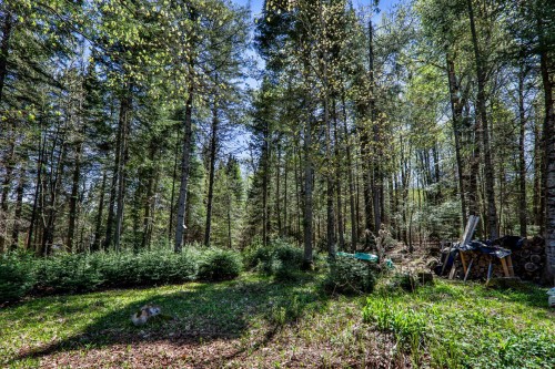 Terre/Terrain - 702 Ch. De Courchevel, Saint-Adolphe-D'Howard, QC - Outdoor