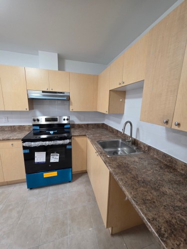 Kitchen - 104-520 Rue Varennes, Longueuil (Le Vieux-Longueuil), QC - Indoor Photo Showing Kitchen With Double Sink