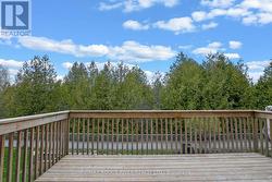 Deck - Summer 2024 - 