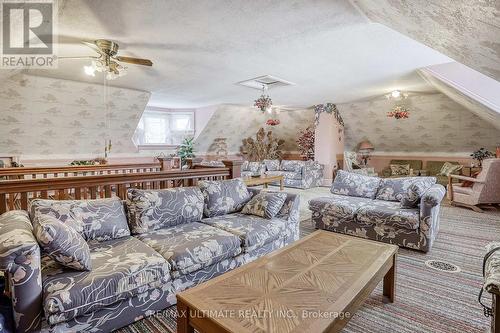 456 Manse Road, Toronto, ON - Indoor Photo Showing Living Room