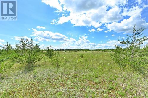 1575 Marysville Road, Tyendinaga (Tyendinaga Township), ON 