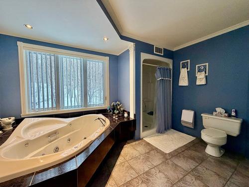 Salle de bains - 235 Rue Copeland, Lachute, QC - Indoor