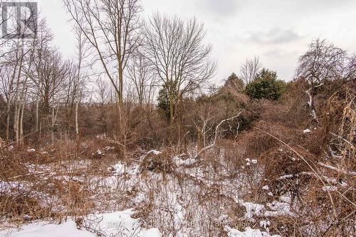 60 Hahn Avenue, Cambridge, ON - Outdoor With View