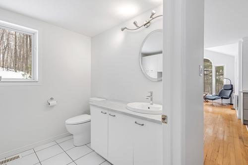 Salle d'eau - 114 Ch. Du Mont-Shefford, Shefford, QC - Indoor Photo Showing Bathroom