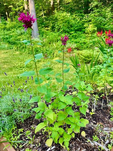 Autre - 114 Ch. Du Mont-Shefford, Shefford, QC - Outdoor