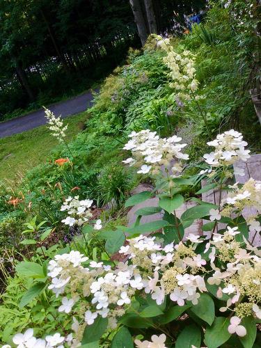 Autre - 114 Ch. Du Mont-Shefford, Shefford, QC - Outdoor