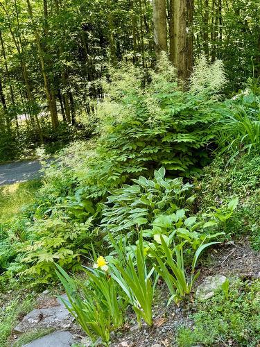 Entrée extérieure - 114 Ch. Du Mont-Shefford, Shefford, QC - Outdoor