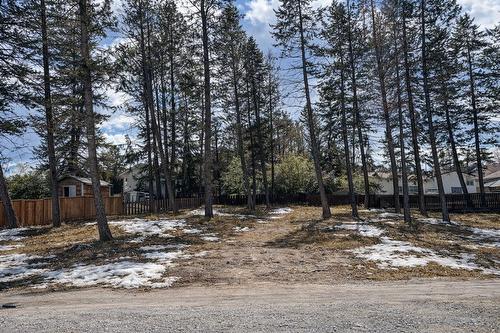 2001 7Th Street, Cranbrook, BC - Outdoor