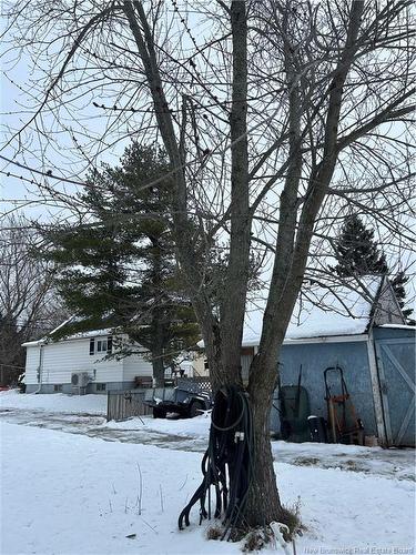 94 Cedar St, Moncton, NB 