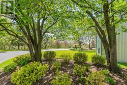 Rear of the Property - 