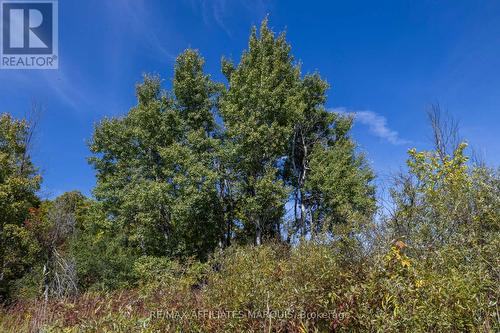 19112 Hwy 7 Highway, Tay Valley, ON 