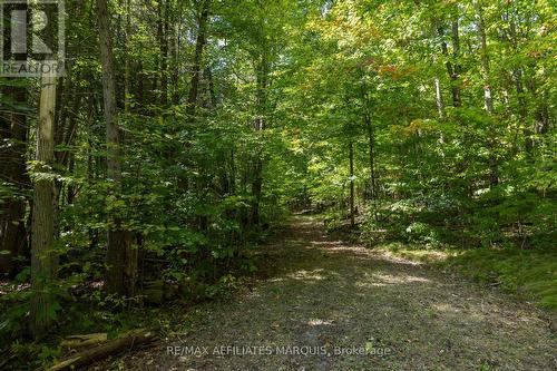 19112 Hwy 7 Highway, Tay Valley, ON 