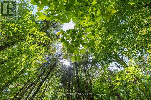 19112 Hwy 7 Highway, Tay Valley, ON 