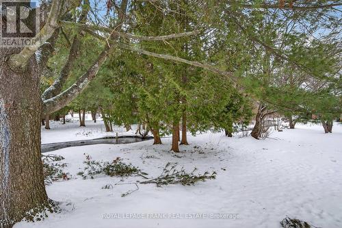 8 - 1121 Armour Road, Peterborough (Ashburnham Ward 4), ON - Outdoor With View