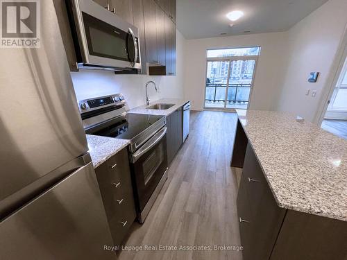 108 - 460 Gordon Krantz Avenue, Milton, ON - Indoor Photo Showing Kitchen With Upgraded Kitchen