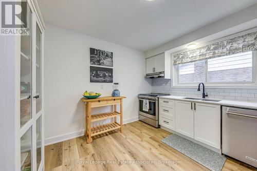 166 Ranwood Court, Hamilton, ON - Indoor Photo Showing Kitchen With Double Sink