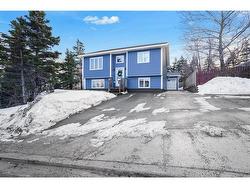 5 Reddy Drive  Torbay, NL A1K 1B6
