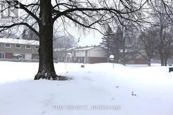 Backyard basketball net - 