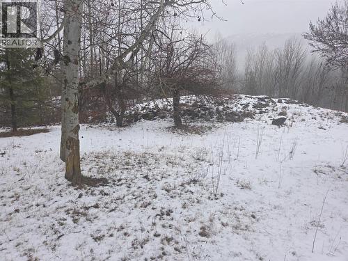 1381 3B Highway, Warfield, BC - Outdoor With View