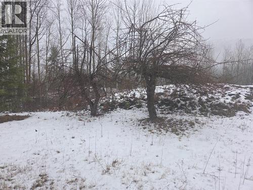 1381 3B Highway, Warfield, BC - Outdoor With View