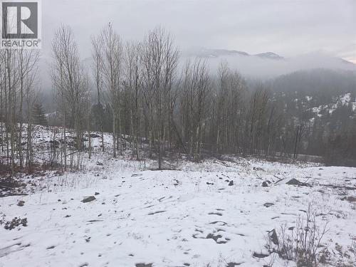 1381 3B Highway, Warfield, BC - Outdoor With View