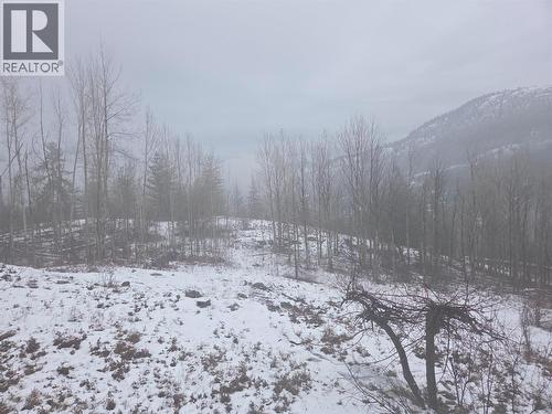 1381 3B Highway, Warfield, BC - Outdoor With View