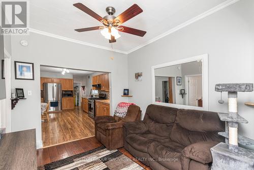 51 Beach Road, Hamilton, ON - Indoor Photo Showing Living Room