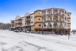 109A 50  ST THOMAS Street  St. Albert, AB T8N 6Z8