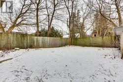 back yard - 