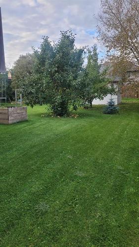 37 Morley Avenue, Mitchell, MB - Outdoor