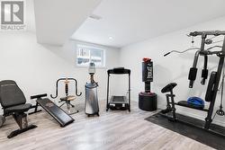 LOWER GYM/BEDROOM - 