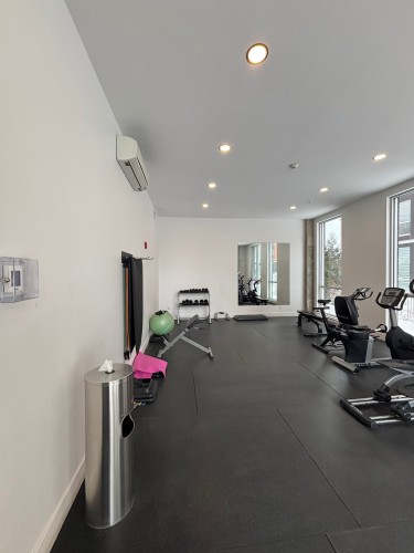 Salle d'exercice - 502-50 Rue D'Ambre, Candiac, QC - Indoor Photo Showing Gym Room