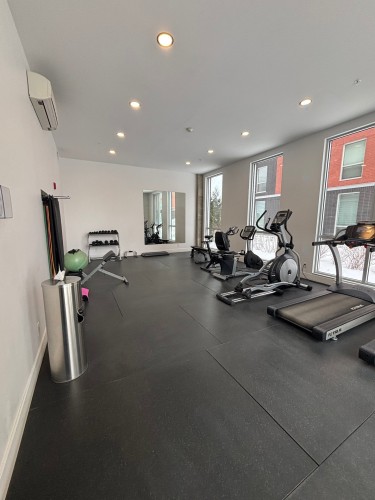 Salle d'exercice - 502-50 Rue D'Ambre, Candiac, QC - Indoor Photo Showing Gym Room
