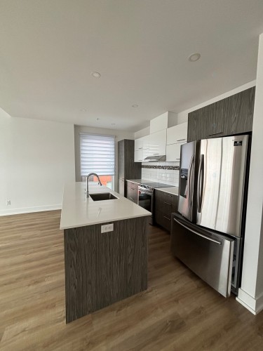 Cuisine - 502-50 Rue D'Ambre, Candiac, QC - Indoor Photo Showing Kitchen