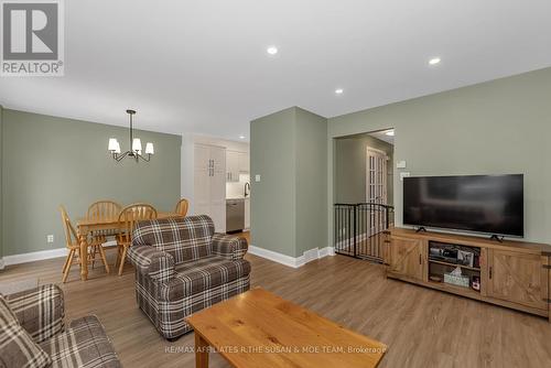 59 Birchbank Crescent, Ottawa, ON - Indoor Photo Showing Living Room