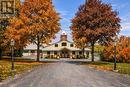 8388 Fifth Side Road, Adjala-Tosorontio, ON 