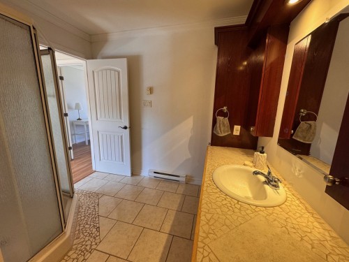 Bathroom - 7844 Rue Lemelin, Brossard, QC - Indoor Photo Showing Bathroom