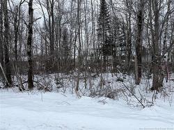 9 Deepwood AVE  Salisbury, NB E4J 2B3