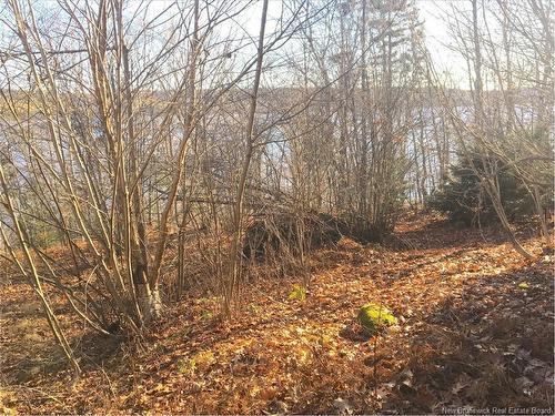 - Norton Shore, Kingston, NB 