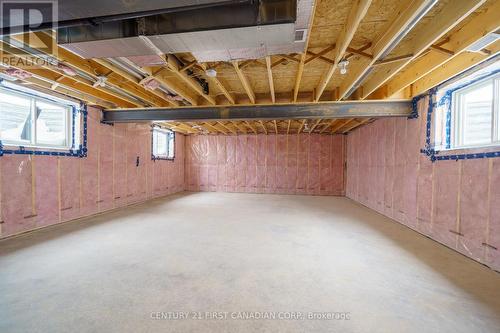486 Julianna Court, Plympton-Wyoming (Plympton Wyoming), ON - Indoor Photo Showing Basement