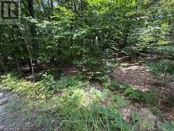 LOT 85 BRENNAN CIRCLE  Huntsville (Stisted), ON P1H 2J2