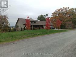 Beautiful colours in the fall months - 