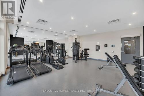 208 - 3265 Carding Mill Trail, Oakville, ON - Indoor Photo Showing Gym Room