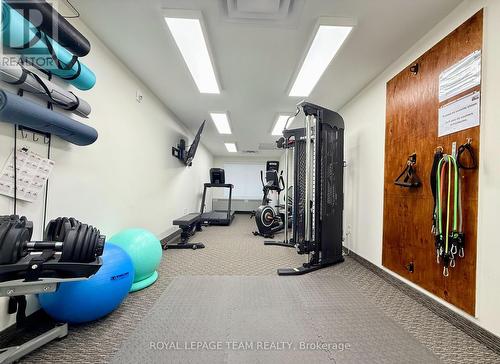 Updated Fitness Room - 105 - 280 Herzberg Road, Ottawa, ON - Indoor Photo Showing Gym Room